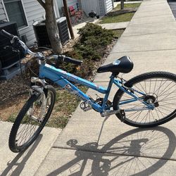 Adult Bike