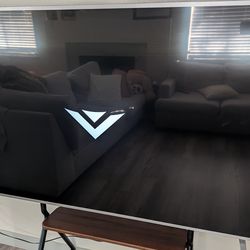 65 inch Vizio TV (Needs Repair)