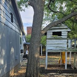 New Future Lanscaping 