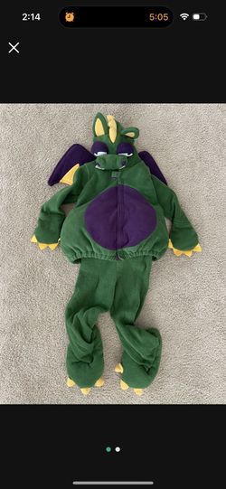 Dragon Costume 