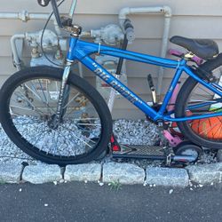 2022 Limited Edition Big ripper