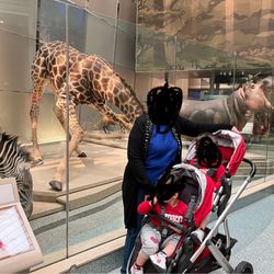 Coche Uppa Vista Doble