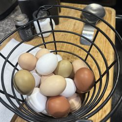 Fresh Eggs