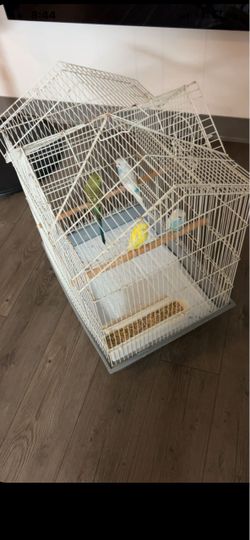 bird cage