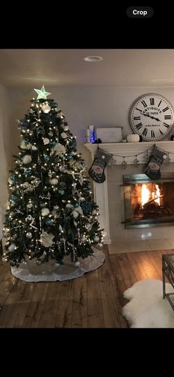 7.5’ Shrewsbury Spruce Christmas Tree