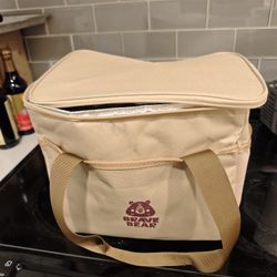 cooler bag lunch bag insulated picnic food cold warm ice pack tote