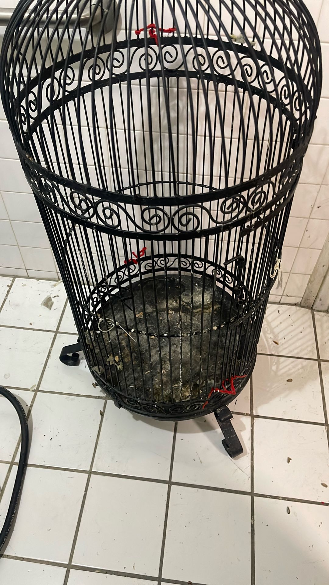 Bird Cage