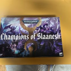 Champions Of Slaanesh Box (New)