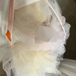 Canopy Girl Bed Nursery Crib