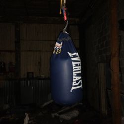 Everlast Punching Bag