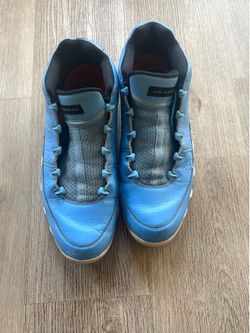 Jordan 9 low Pantone