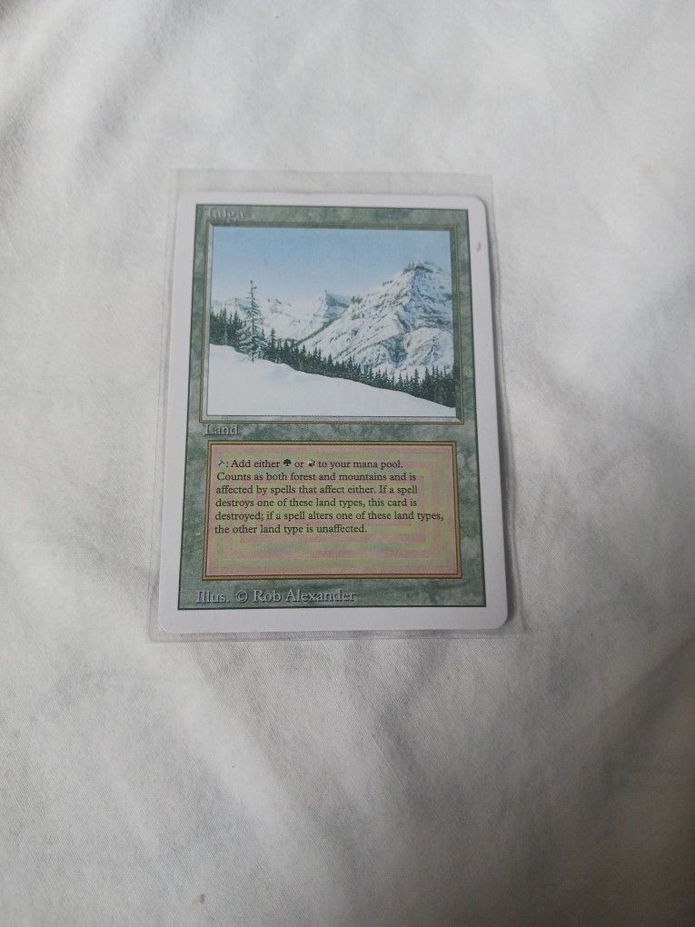 Taiga Revised Edition MTG Card