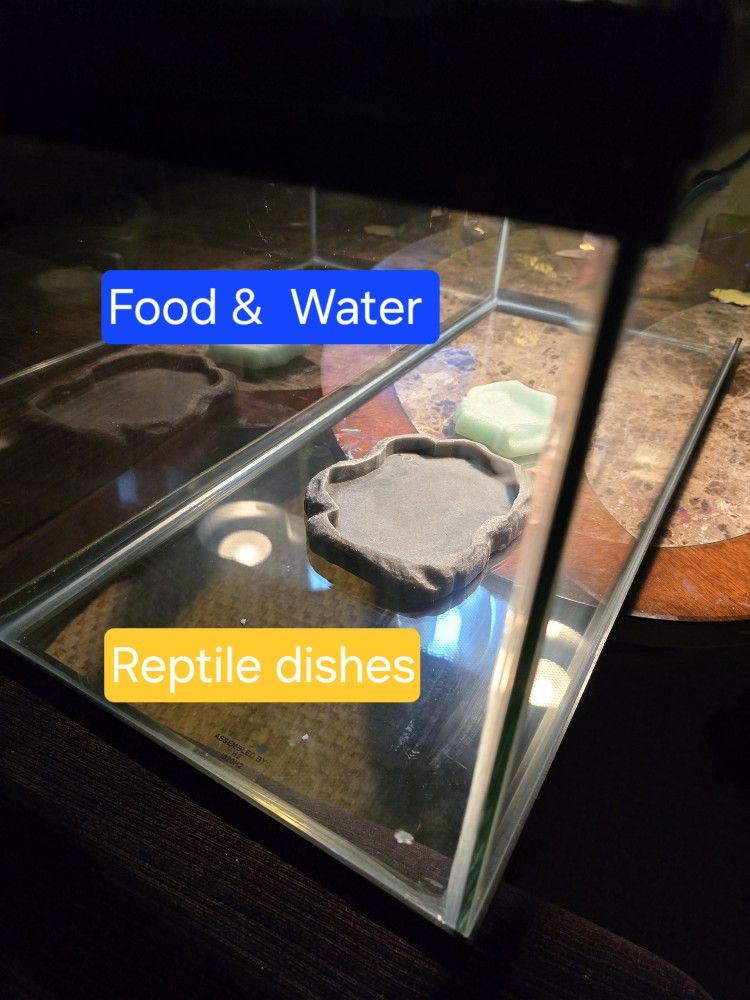 20 GALLON TANK