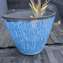 13"x15" Modern Blue Textured Plastic Planter Pot with Black Rim Indoor Outdoor

