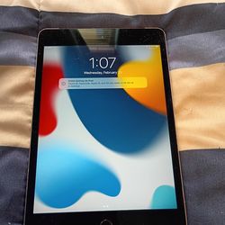 iPad mini 4 128gb ( please read description)