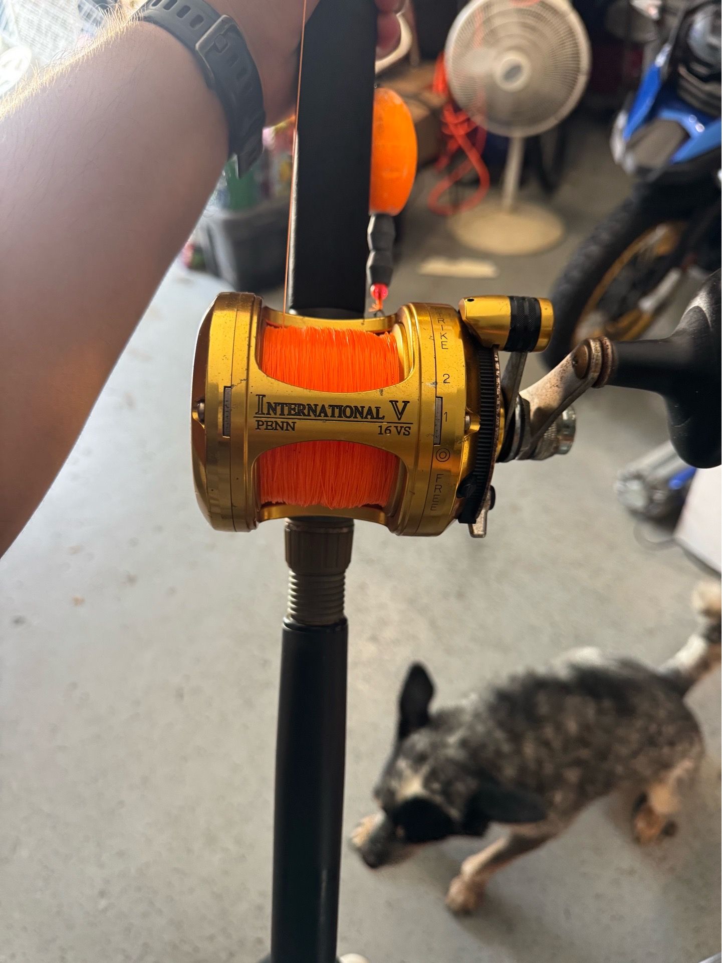 Penn International V Vs16 Reels and Rod combos