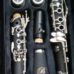 Brand New Student Clarinet, Has Never Been Played 
