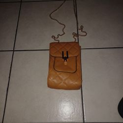 small purse
