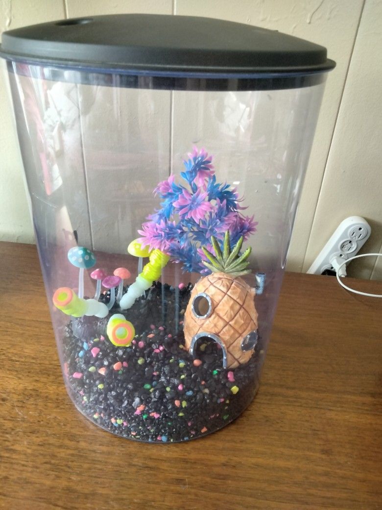 Fish Tank
