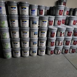 Paint For Sale 