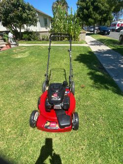 Toro