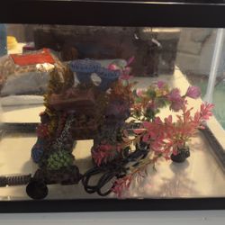 Fish Tank 5.5 Gallons 