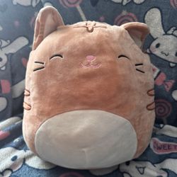 Squishmallow: Nathan Cat 8”