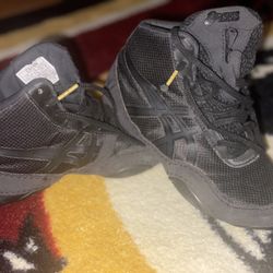 ASICS Wrestling Shoes 