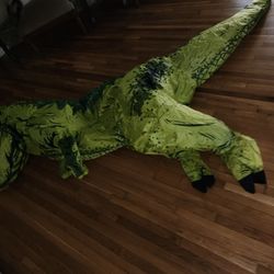 Halloween Costume 
