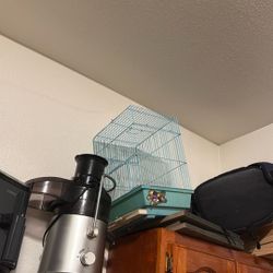 Bird Cage 