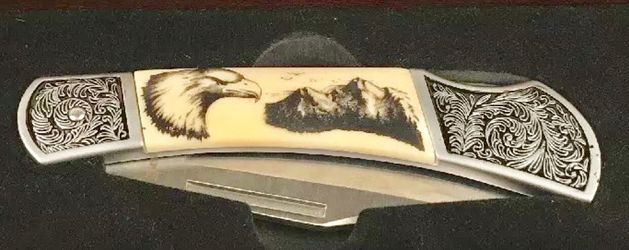 Bald Eagle “Limited Edition”