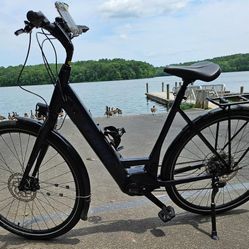 Trek-Verve+ 4S Lowstep