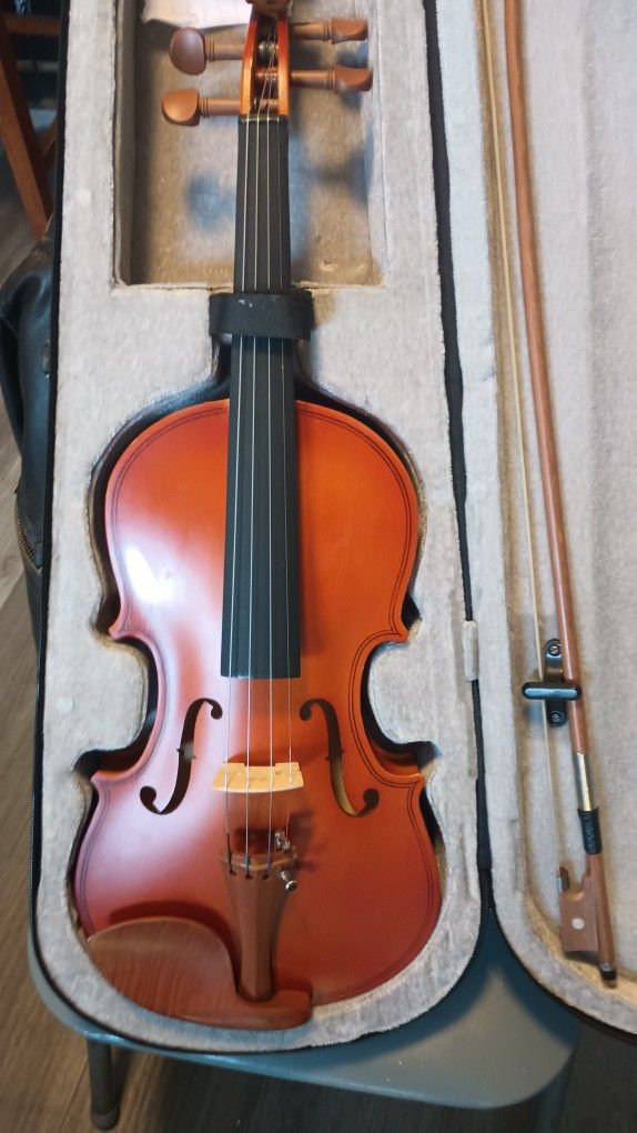 Violin Student Beautiful Reddish Brown