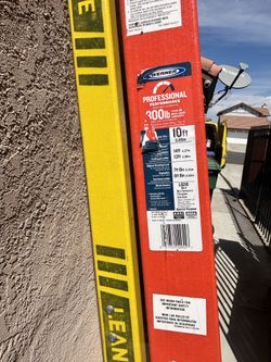 Werner 10ft lean safe ladder