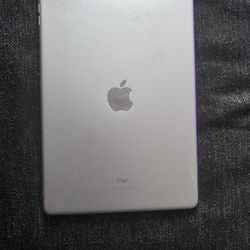 Apple iPad Need It Gone Today 100! Firmmm
