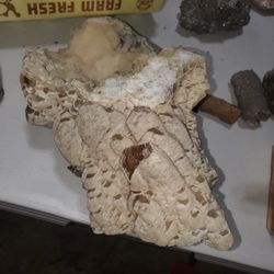 Cabinet Size Calcite Specimen