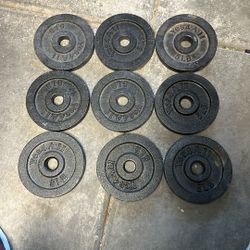 Yes 4 All 5 Lb Weights