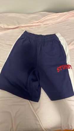 Stussy purple beach shorts