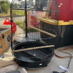 Bird Cage 