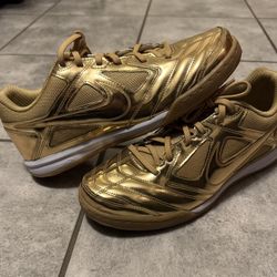 Nike Gato LV8 “metallic Gold” Size 8 