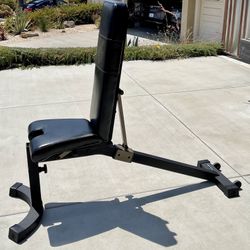 Nautilus gym bench new arrivals