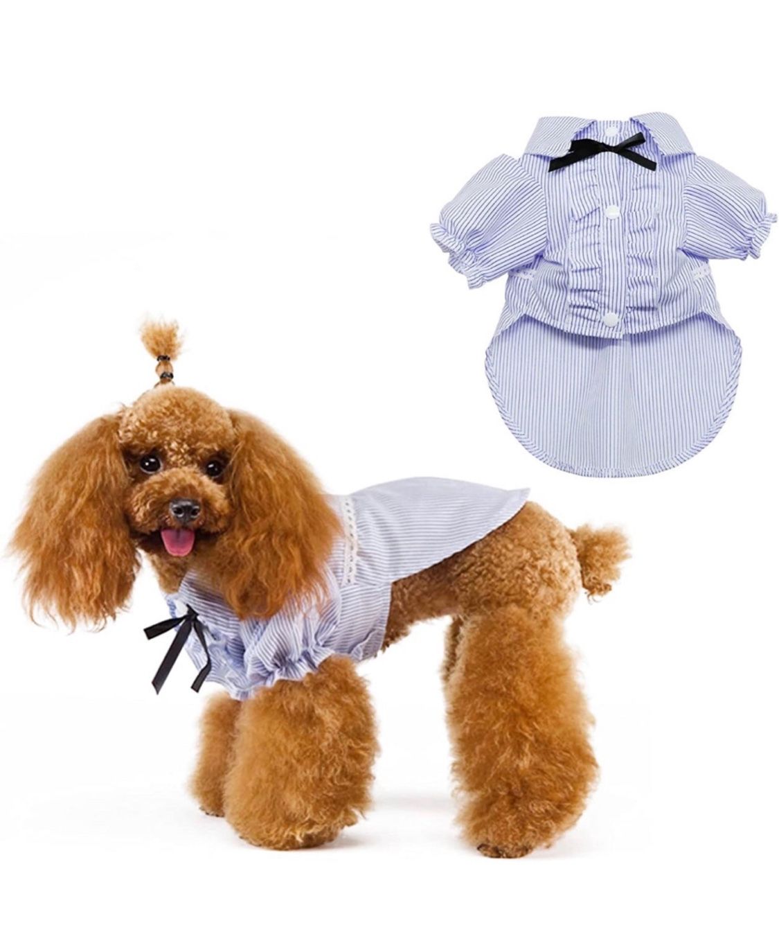 Dog shirt (XXL)