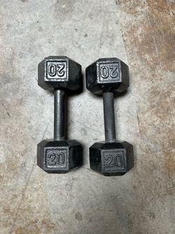 Dumbbell Weights 20lb
