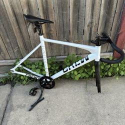 crew ace price negotiable 