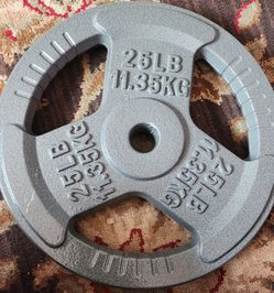 CAP Barbell Gray Olympic Cast Iron Weight Plate, 25 lb, Singles