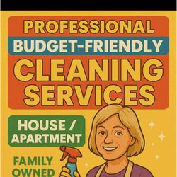 Cleaning house apartment 