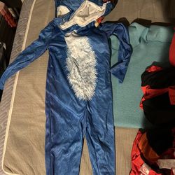 Sonic Costume