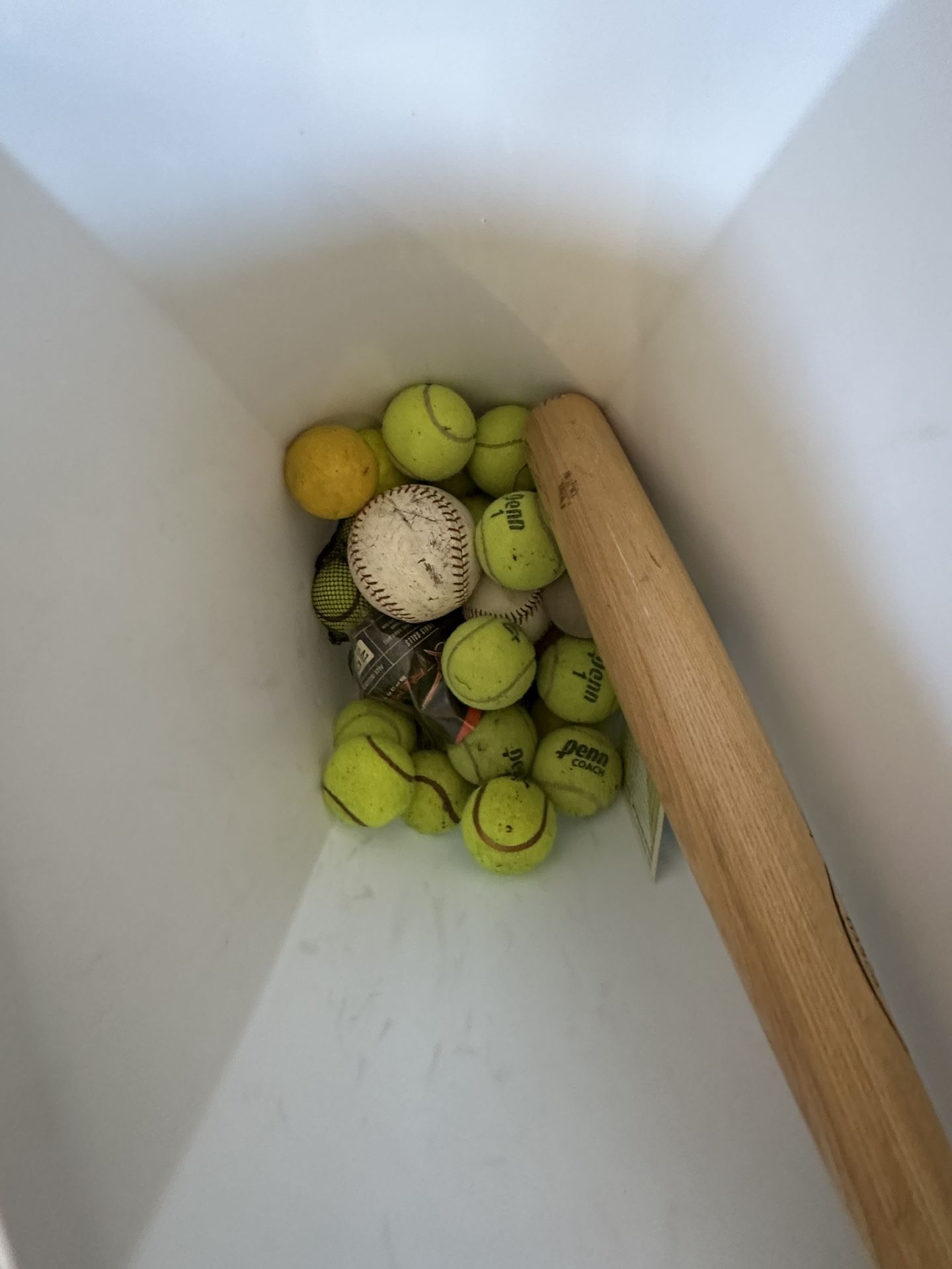 Sports Equipment 