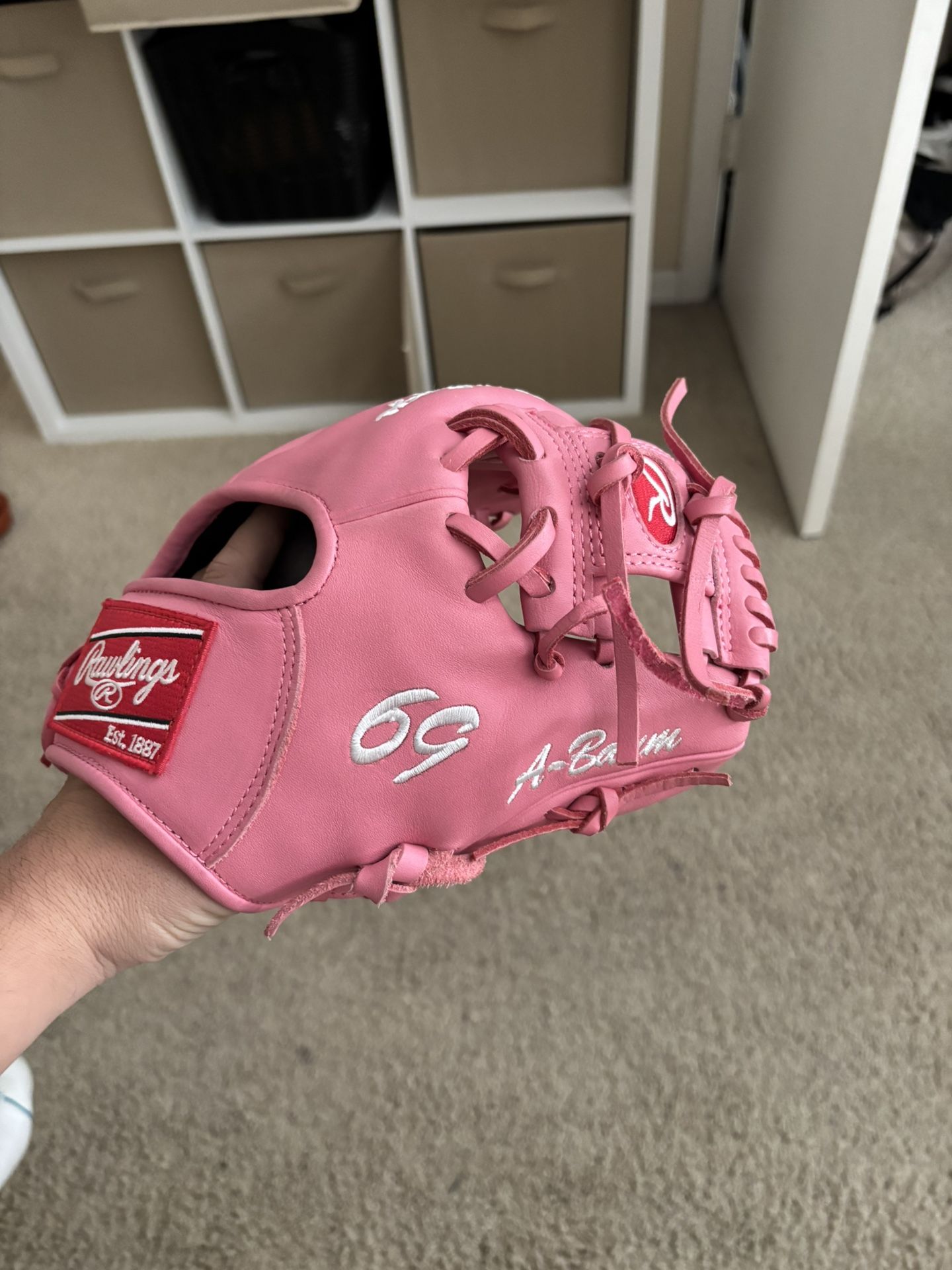 Custom Rawlings Heart Of The Hide Baseball Glove 