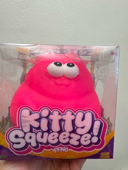 Kitty Squishy Toy